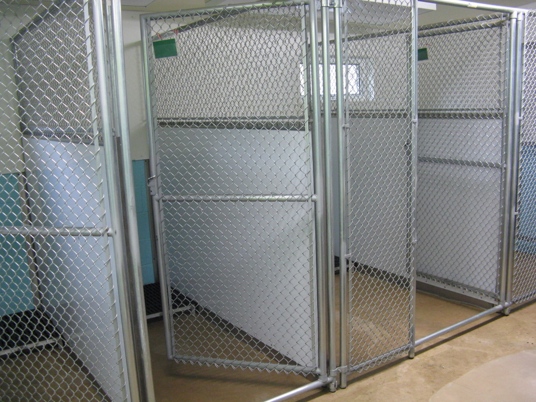 Pet boarding kennel facility for short and long term care during owner  vacations located in veterinary animal hospital in Raymond WA 98577